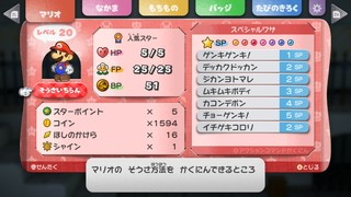 HP5マリオのステータス画面